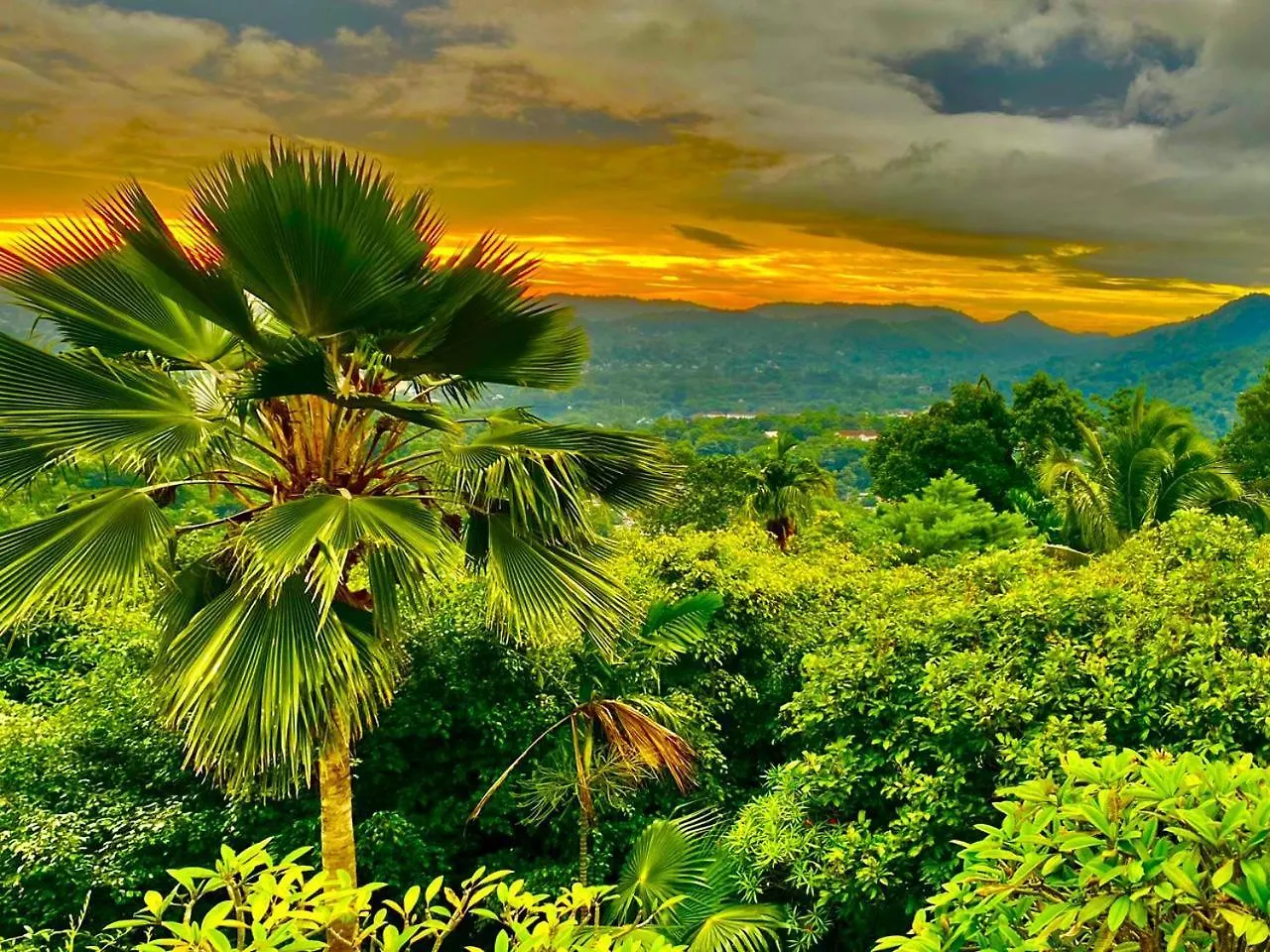 Bed & Breakfast 390 Villa Vista Bowala Sri Lanka